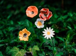 Weißenfels-Linas-Töpferhof-Blumen