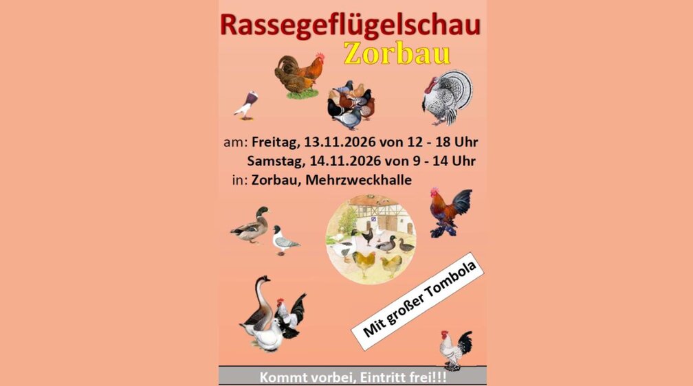 Rassegeflügelausstellung in Zorbau