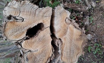 Tag der offenen Töpferei in der Landtöpferei Lobenstein