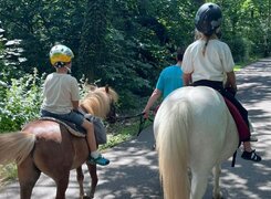 Goseck-Esel-und-Ponyhof-Ponyreiten-Amrei-Knauf