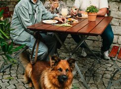 Kriechau-Weingut-Gaudig-Familie-1