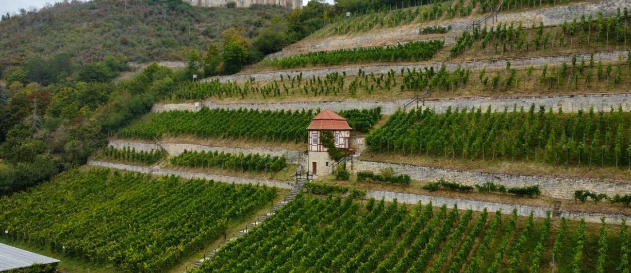 Herzoglicher Weinberg Freyburg