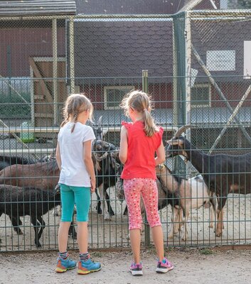 Tier- und Erlebnispark Lützen