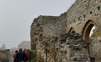 Öffentliche Führung im Kloster Memleben
