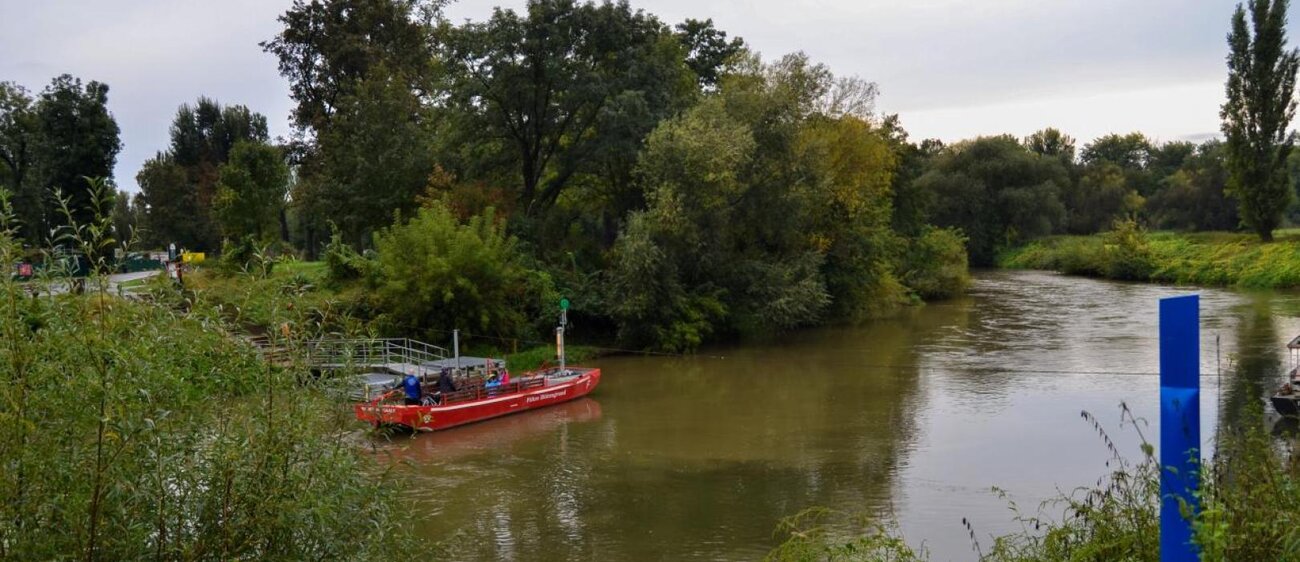 Blütengrund bei Naumburg