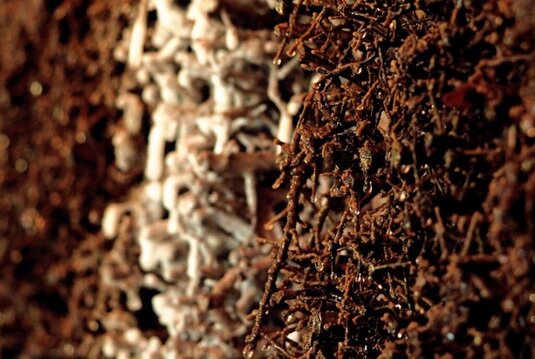 Nahaufnahme Gradierwerk Louise in Bad Sulza