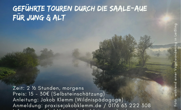 Vogelwanderung durch die Saaleaue in Leißling