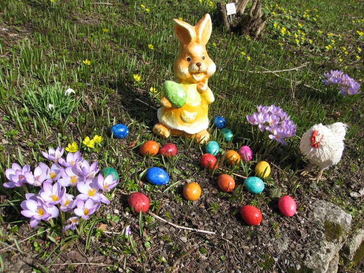 Wir suchen Ostereier im Botanischen Garten (Veranstaltung für Kinder!)