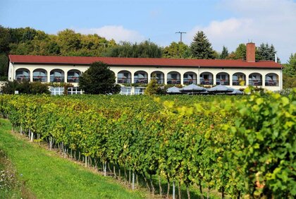 Hotel Rebschule