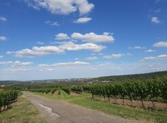 Naumburg-Jaworski-Weinberg