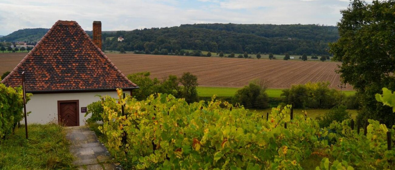 Blütengrund bei Naumburg