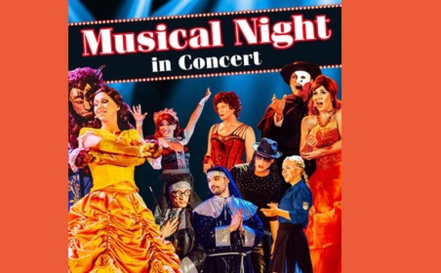 MUSICAL NIGHT in Concert