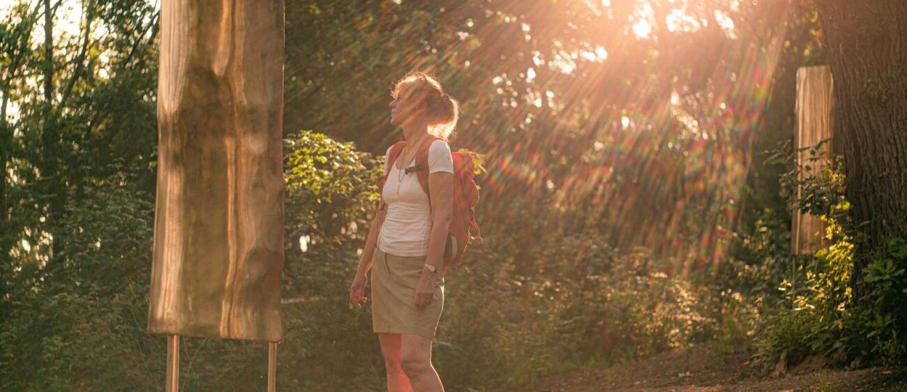 Eine Wanderin steht im Wald und schaut auf eine Blechtafel. Das Sonnenlicht scheint durch die Bäume und trifft auf die Blechtafel.