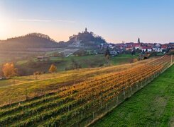 Seitenroda-Weinhaus-Leichsering-Weinberg