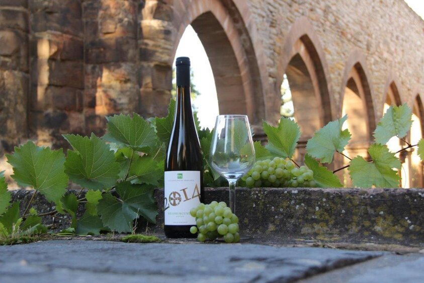 Workshop (BIK) „Vergessene Hausmittel – Kräuterapotheke für die ganze Familie“ Mit Susann Michel (Phytotherapeutin)