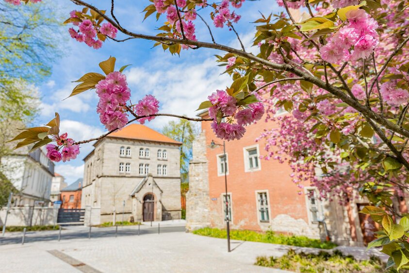 Osterspaziergang – „Auf grünen Pfaden entlang der Wiesenstraße“