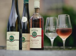 Würchwitz-Wein-und-Sektgut-Hubertus-Triebe-Flaschen-Weinfass