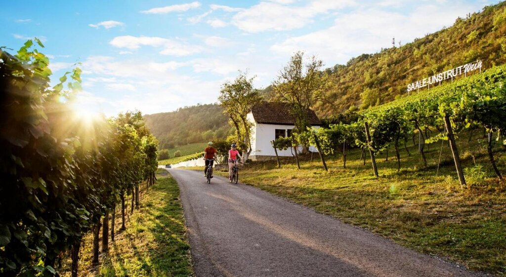 Radfahrer vor den Saalehäuser weinbergen bei Bad Kösen