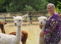 Salzatal-Devils-Stone-Alpacas-4