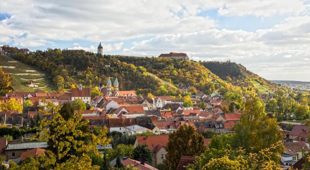 Freyburger Stadtansicht mit Blick auf das Schloss Neuenburg, die Stadtkirche St. Marien und den Schlifterweinberg.