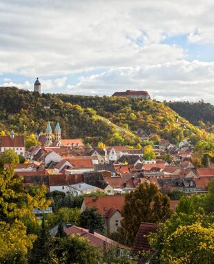 Freyburger Stadtansicht mit Blick auf das Schloss Neuenburg, die Stadtkirche St. Marien und den Schlifterweinberg.