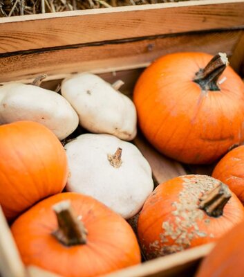 Landwirtschaftsbetrieb Florian Uherek