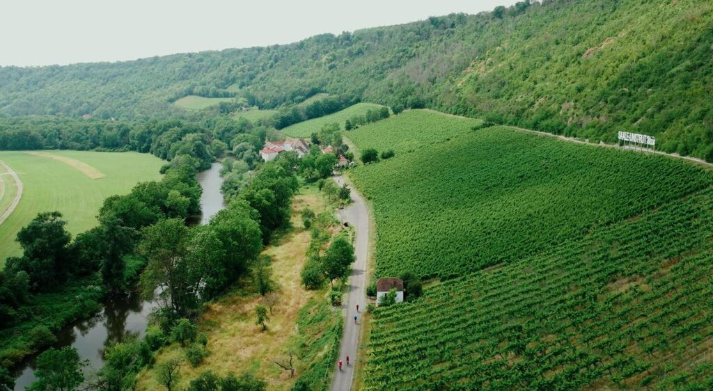 Saalhäuser Weinberge mit Radfahrenden auf dem Saaleradweg neben der Saale bei Bad Kösen