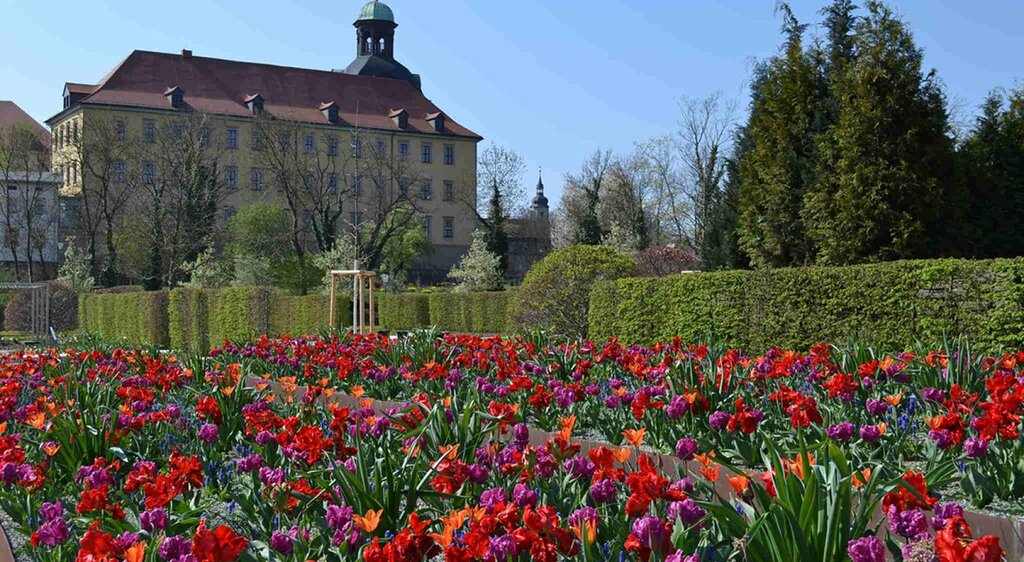 Blütenpracht im Schlosspark Moritzburg