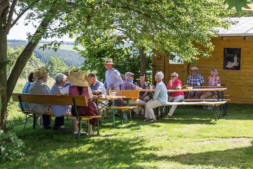 Jungweinausschank im Weinberg