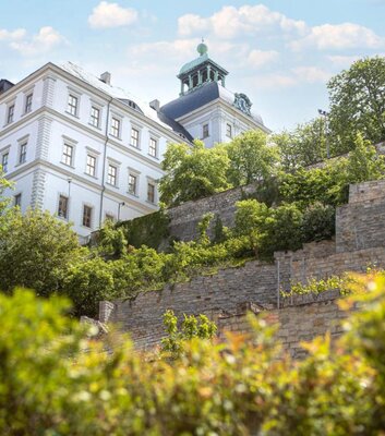 Blick auf Schloss Neu-Augustusburg Weißenfels mit dem darunter angelegten Weinberg