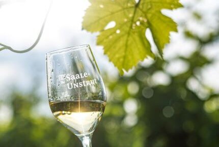 Weinglas mit Schriftzug Saale-Unstrut im Sonnenlicht und zwischen Weinblätter gehalten