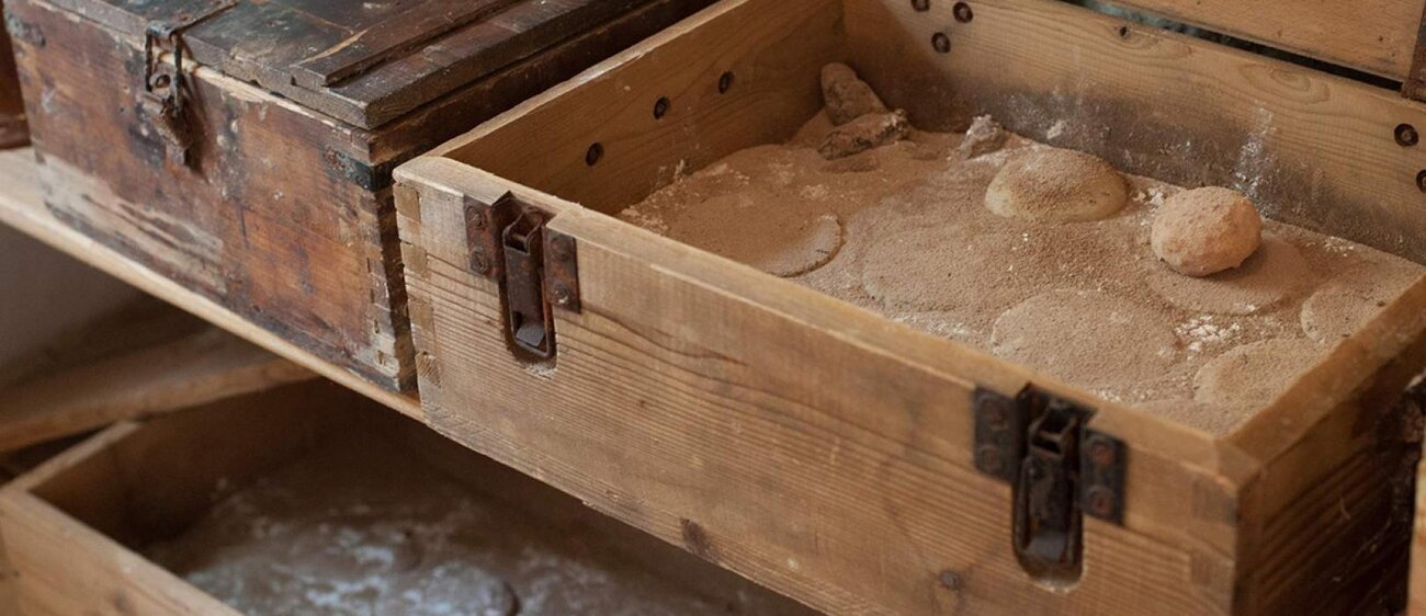 Milben bei der Arbeit