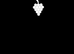 logo krause 2