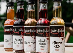 Produktbilder-Der-Liederstädter-Wackelmänner