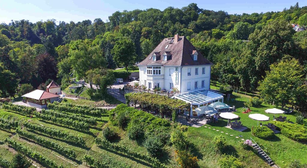 Außenansicht mit Weinberg und Villa Ilske