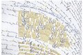 Wortwelten|Bildwelten Ausstelllung