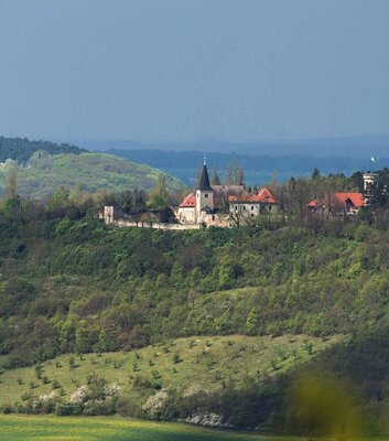 Klosterkirche St. Bonifatius in Zscheiplitz