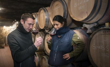 Landesweingut Kloster Pforta Bad Kösen