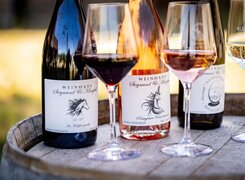 Bad-Bibra-Weinhaus-Siegmund-Klingbeil-Ausschank