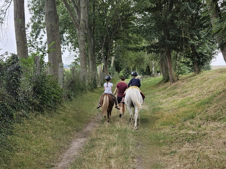 Öffentliches Ponyreiten