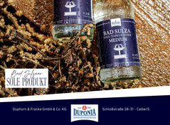 Bad-Sulza-Sole-Heilbad-Bad-Sulza-Sole-Wasser