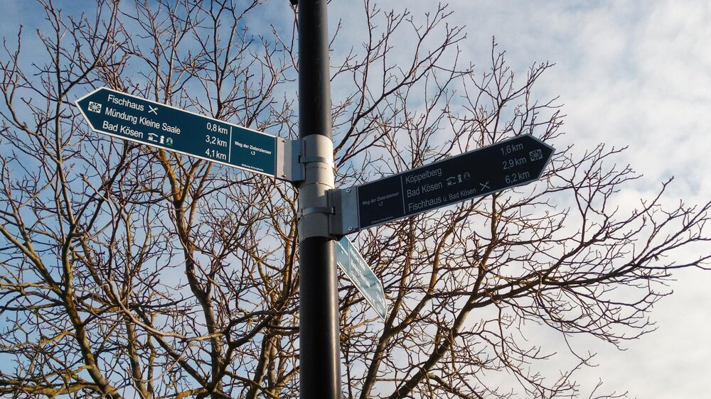 Die Zisterzienser - Meister des Wasserbaues an der Saale