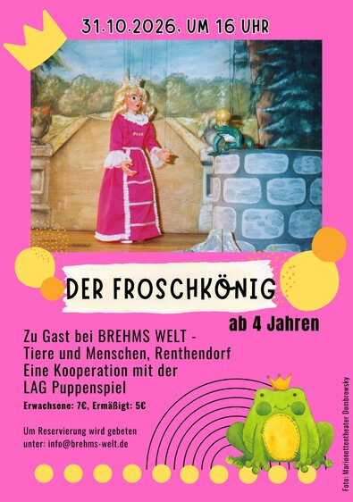 Der Froschkönig - Marionettentheater