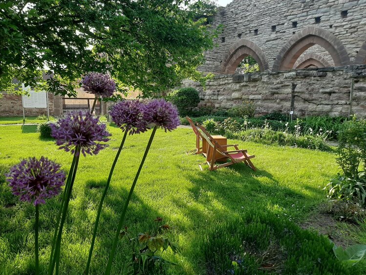 Ferienangebot: Besuch bei den Klosterbienen in Memleben (BIK)