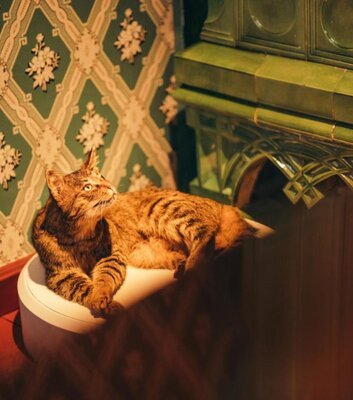 Brehms Welt - Tiere und Menschen