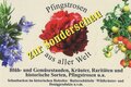 Pflanzenverkauf zur Pfingstrosenausstellung im Museum Petersberg