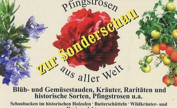 Pflanzenverkauf zur Pfingstrosenausstellung im Museum Petersberg