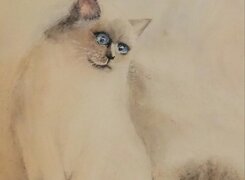 Naumburg-Anita-Wolff-Aquarell-2