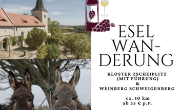 Eselwanderung von Freyburg nach Zscheiplitz inkl. Kloster-Führung