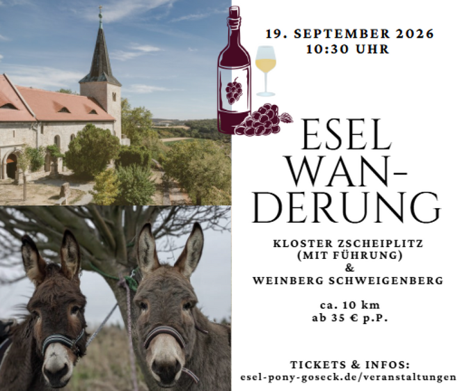 Eselwanderung von Freyburg nach Zscheiplitz inkl. Kloster-Führung